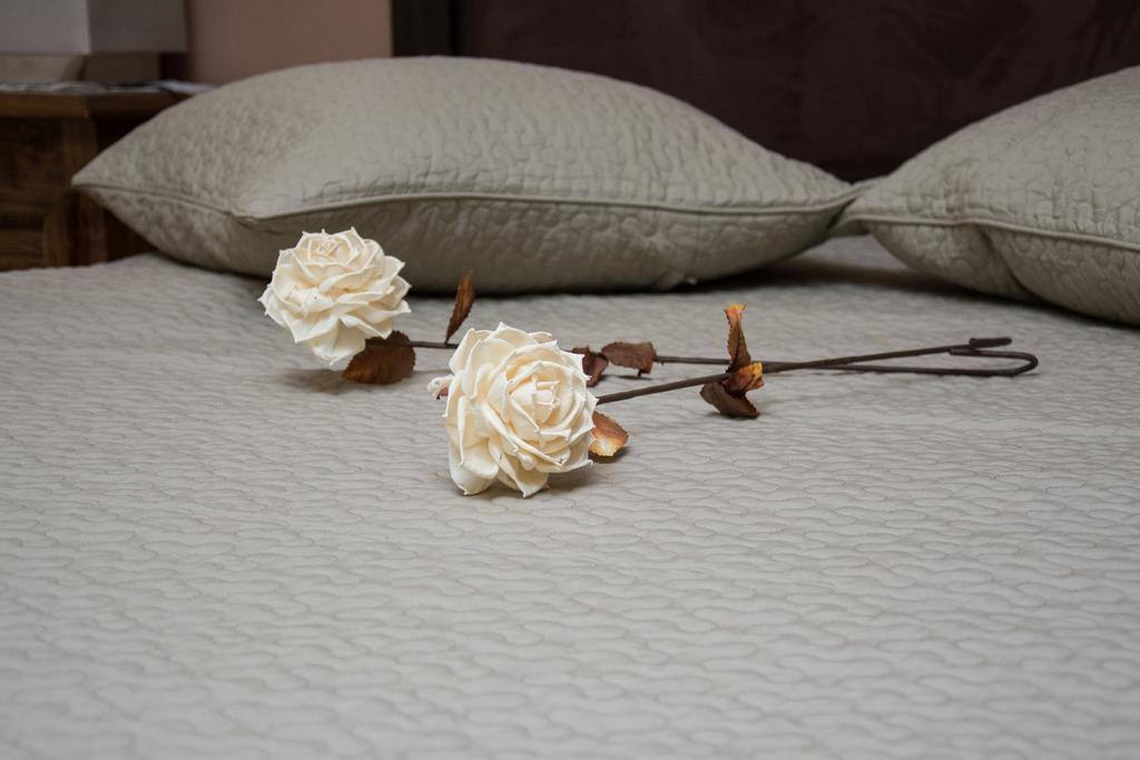 Apartment Dione Ouranoupoli